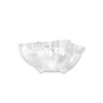 VIDA Acrylic Large Deep Bowl (Clear) - Image 3