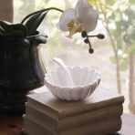VIDA Vienna Mini Bowl with Spoon White - Image 3