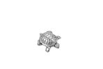 GIFTABLES Ocean Turtle Weight - Image 2